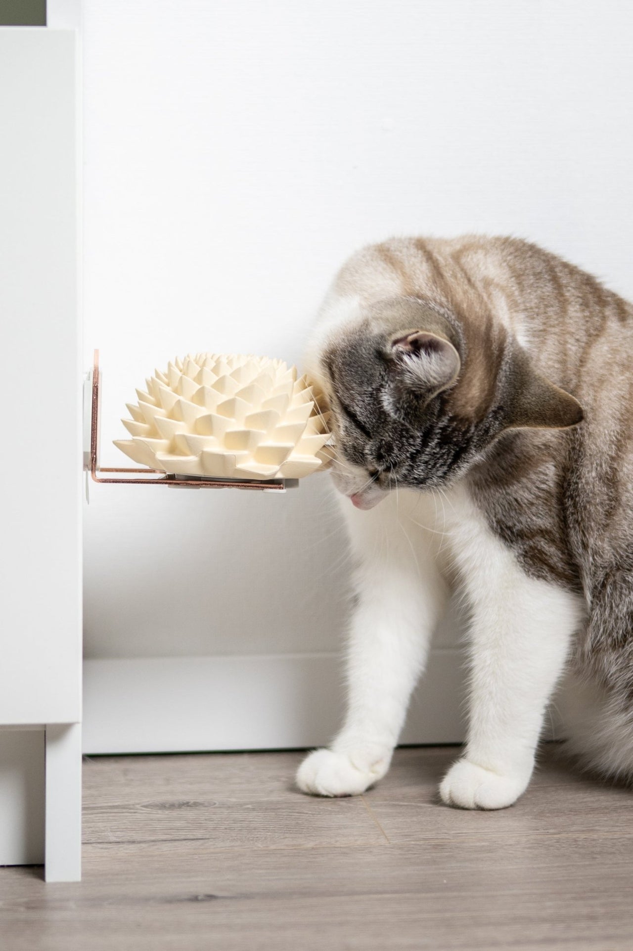 Bloom® - Opuss Studio