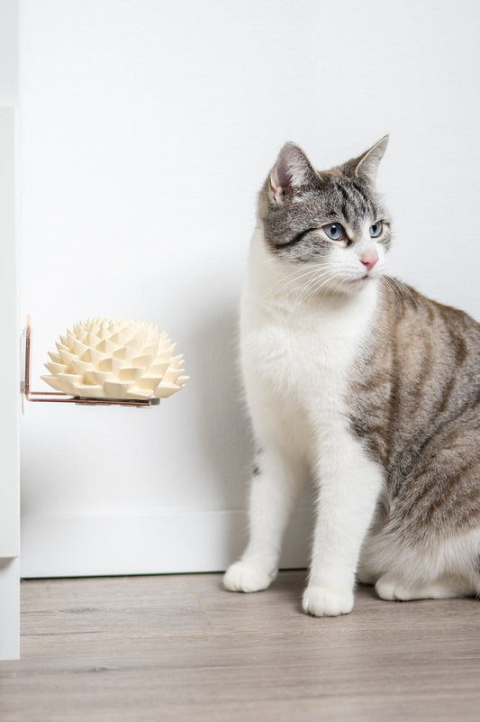 Bloom® - Opuss Studio