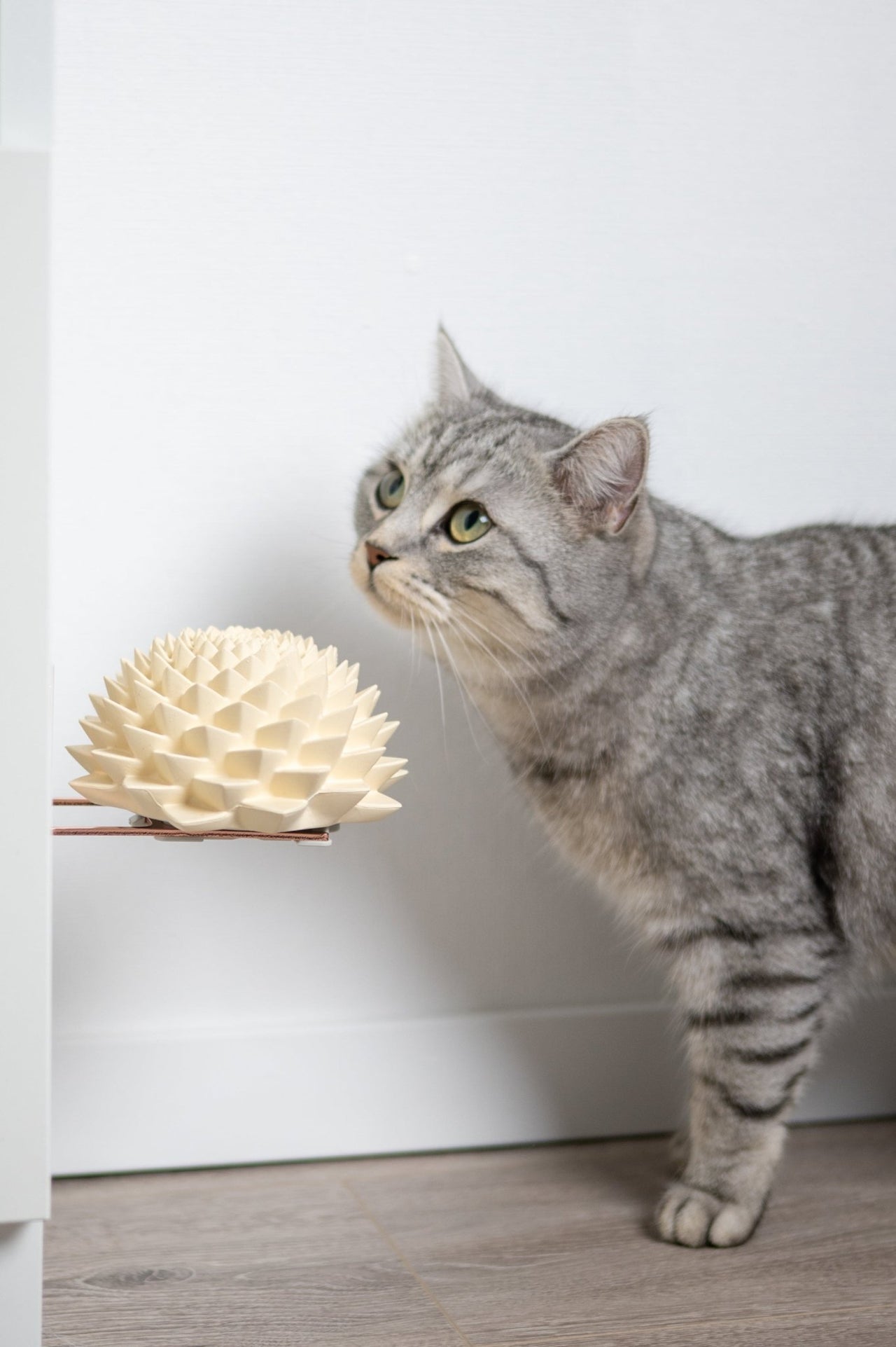 Bloom® - Opuss Studio