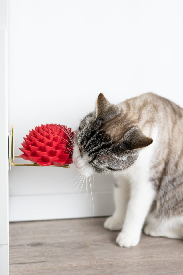 Bloom® - Opuss Studio