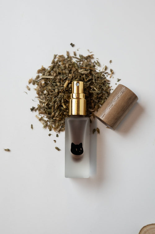 Katzenminze Essenz - Opuss Studio