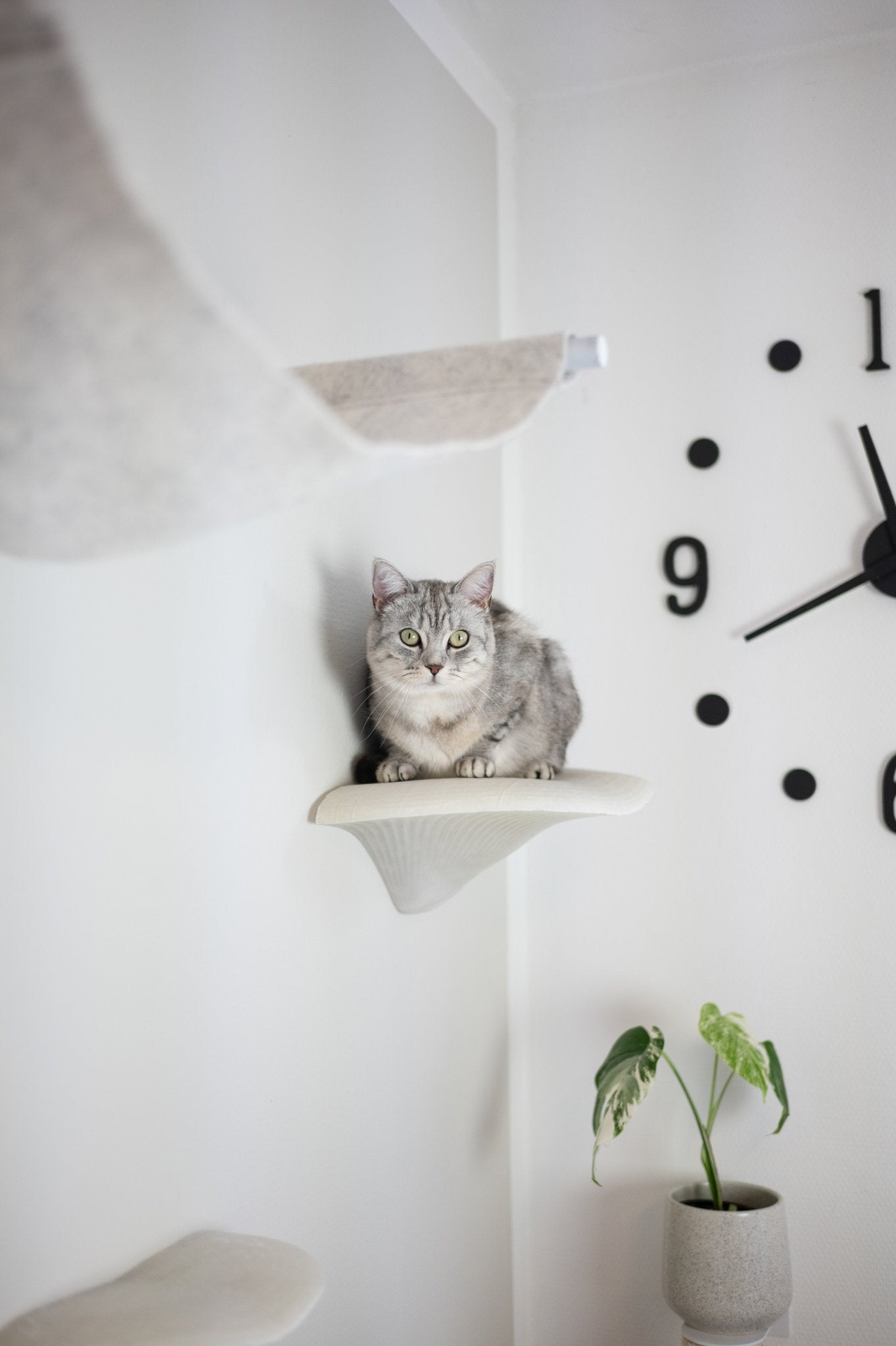 Shroom® Wandstufe | Groß mit Beleuchtung - Opuss Studio