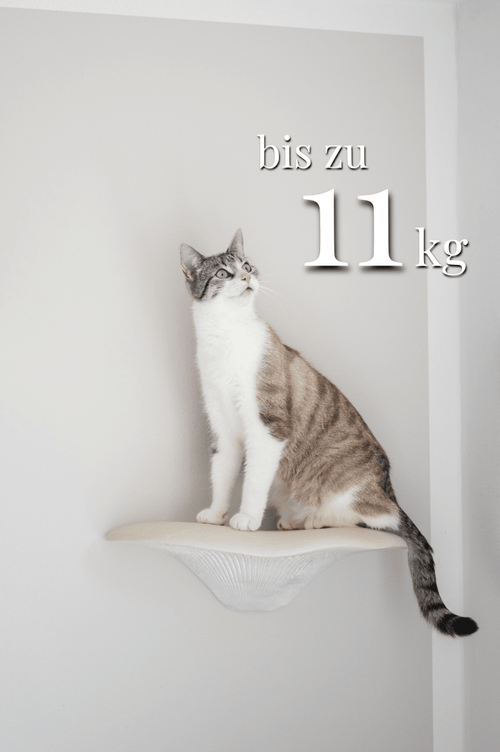 Shrooms® 3er - Set - Opuss Studio