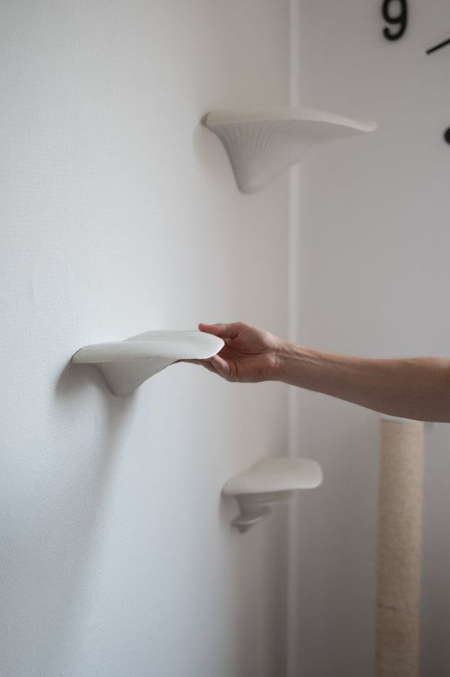 Steps | Wandstufen - groomatic