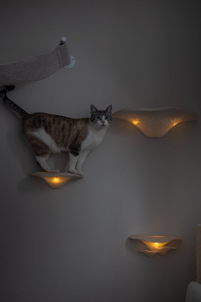 Steps | Wandstufen - groomatic