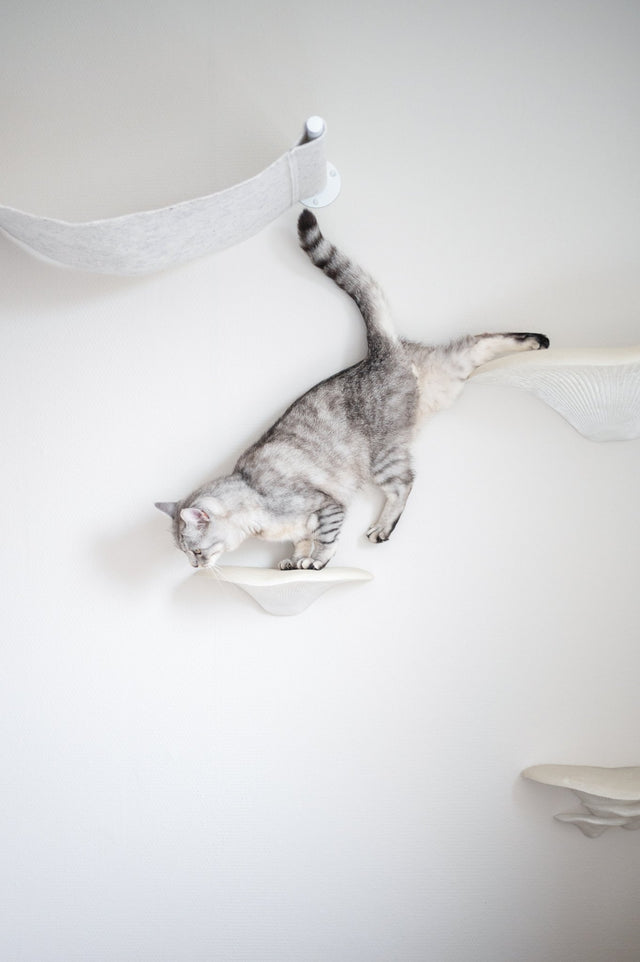 Steps | Wandstufen - groomatic