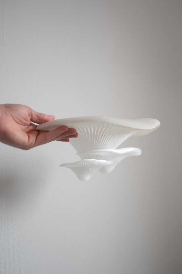 Steps | Wandstufen - groomatic