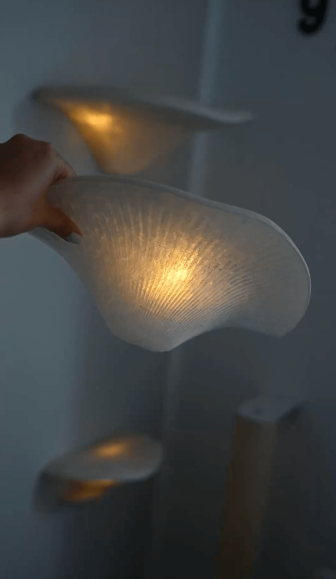 Steps | Wandstufen - groomatic