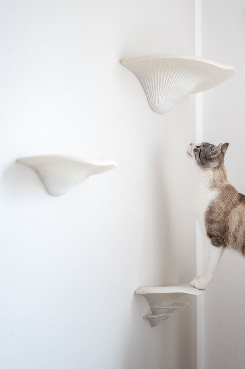 Steps | Wandstufen - groomatic