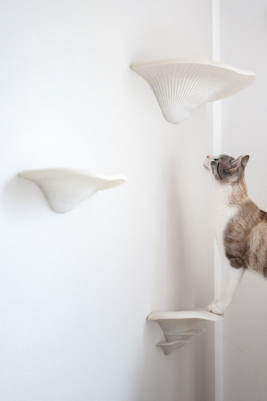 Steps | Wandstufen - groomatic